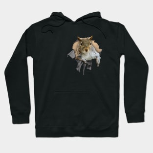 Ripped Shirt Squirrel - funny squirrel lover Hoodie